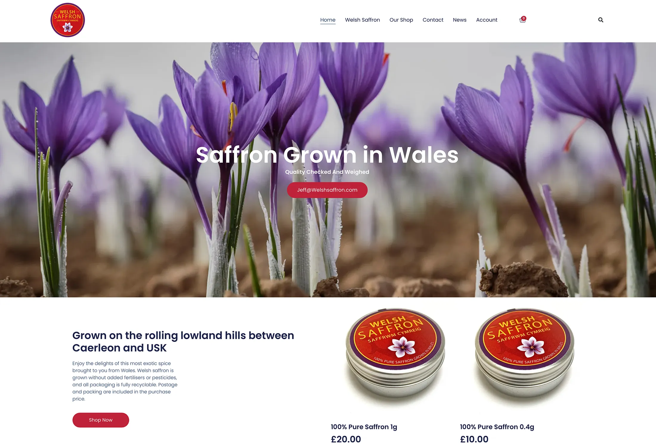 Welsh Saffron